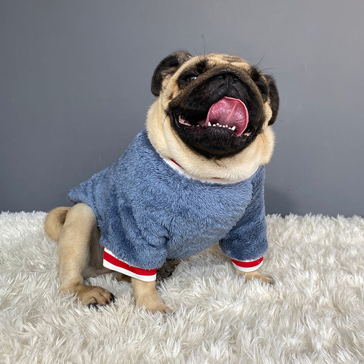 Why Your Pet Deserves the Best with Our Cozy Pet Sweater