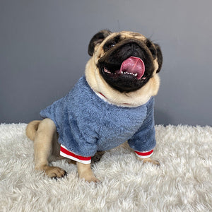 Why Your Pet Deserves the Best with Our Cozy Pet Sweater